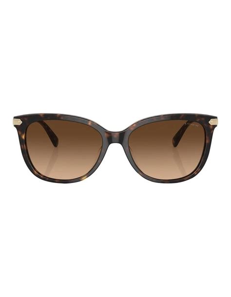 coach sunglasses myer